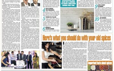 TOI &#8211; 24th Feb 2019, Next Galleria