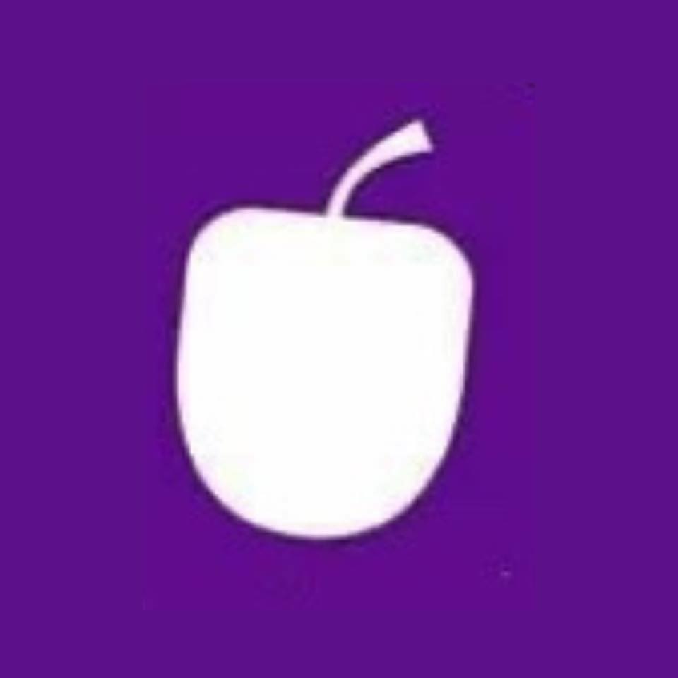 plum new logo