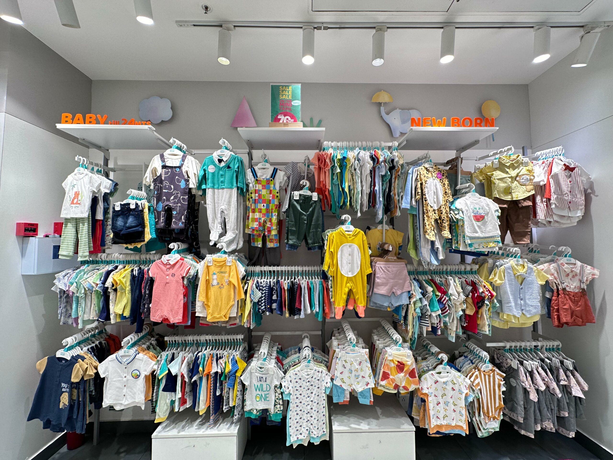 WhatsApp Image 2024-03-21 at 11.53.25