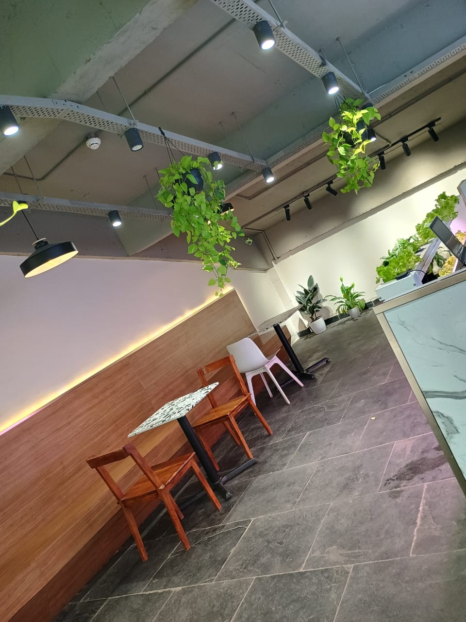 WhatsApp Image 2024-03-23 at 7.03.50 PM